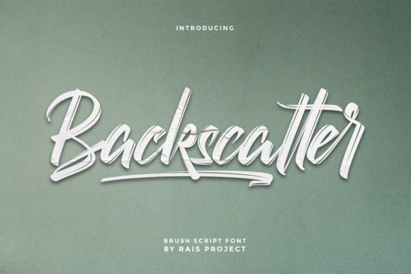 Backscatter Script Font for Handmade Brands