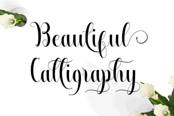 Beautiful Calligraphy Font for Business