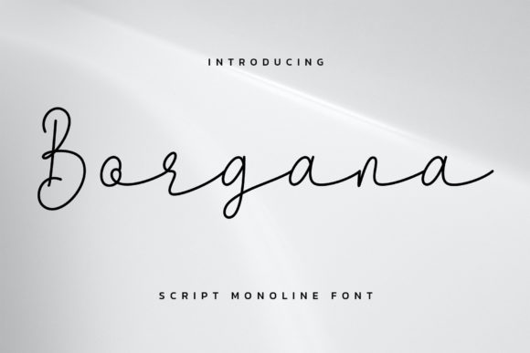 Borgana Font: A Delicate Vintage Script for Handmade Creators