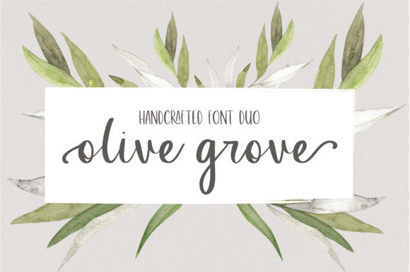Olive Grove Font for Elegant, Modern Branding