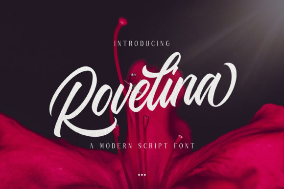 Rovelina: A Modern Script Font for Editorial Design