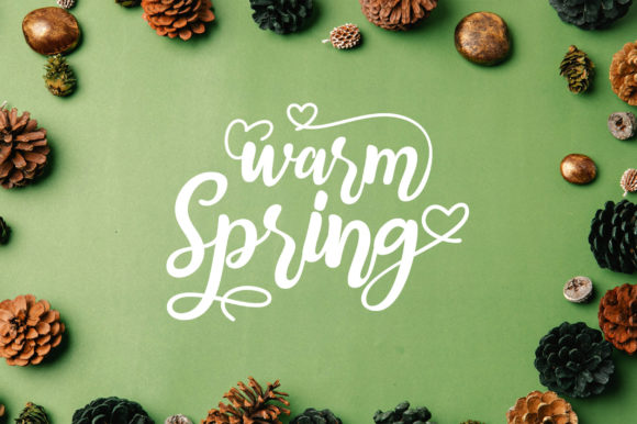 Warm Spring Script Font for Elegant Campaign Design
